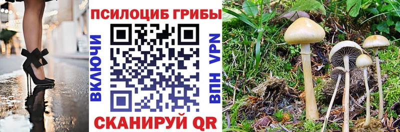 Галлюциногенные грибы прущие грибы  Купить где  Бузулук 